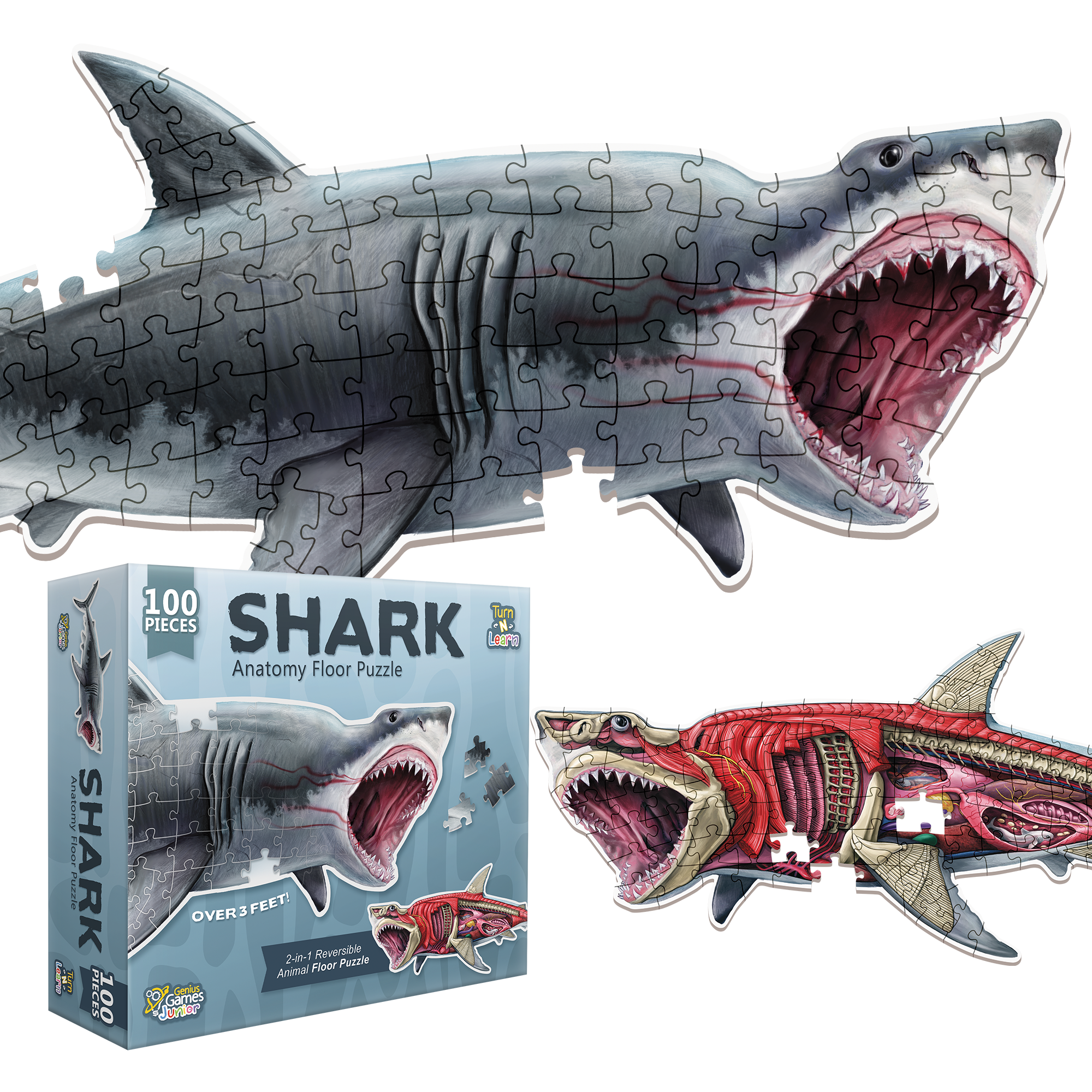 Shark Animal Anatomy Floor Puzzle | 100-Piece Double Sided Jigsaw Shark Animal Anatomy Floor Puzzle | 100-Piece Double Sided Jigsaw