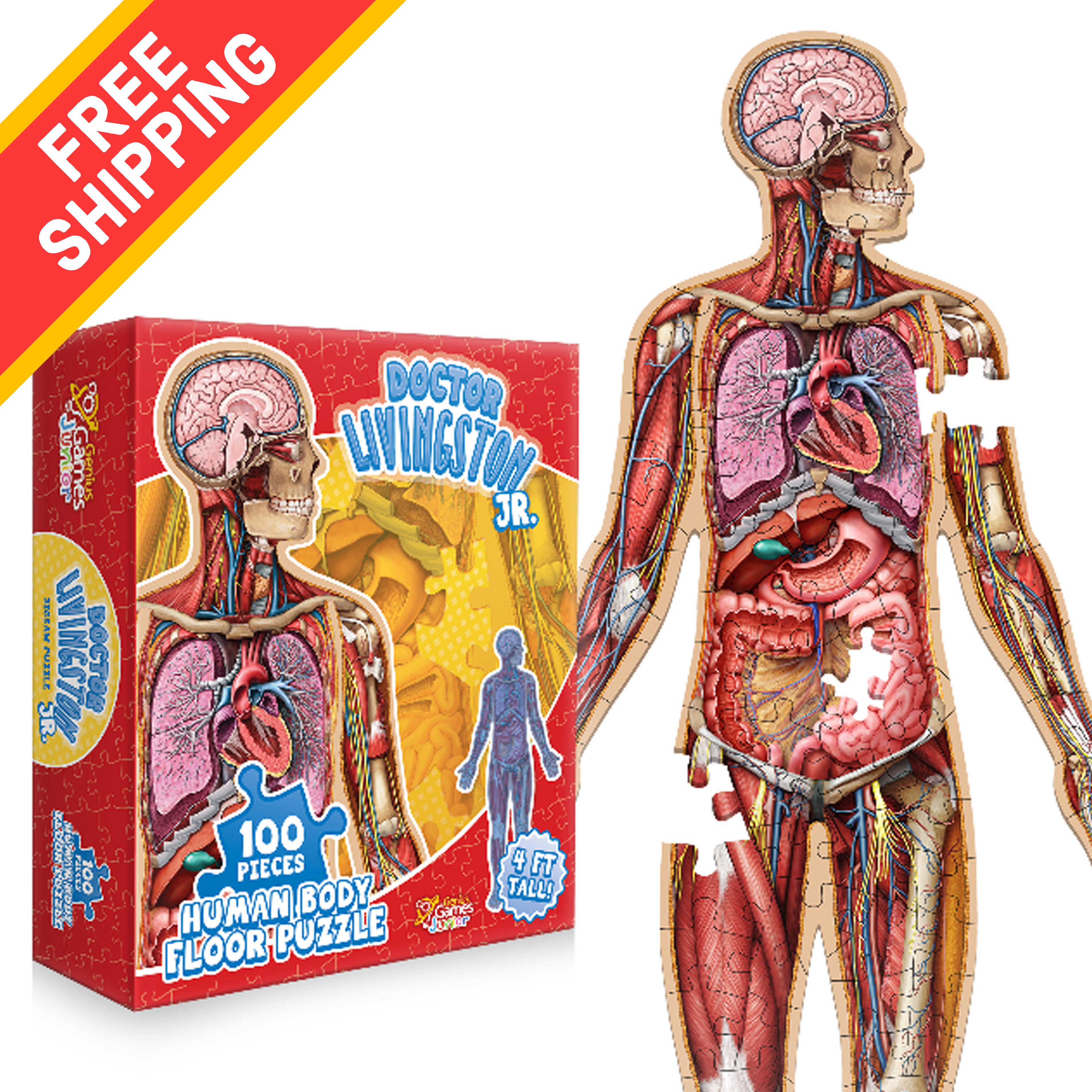 Free Shipping! Kid's 100 Piece Human Body Floor Puzzle: Dr Free Shipping! Kid's 100 Piece Human Body Floor Puzzle: Dr