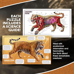 Tiger Animal Anatomy Floor Puzzle | 100-Piece Double Sided Jigsaw Puzzle | Large-Sized, Over 3 FT - Scientifically Accurate Illustration - Fun and Educational Toy for Kids, Toddlers and Families