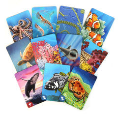 Ecosystem: Coral Reef | MENSA Recommended Family Card Game About Aquatic Animals, Their Habitats, Marine Biology & Food Chain