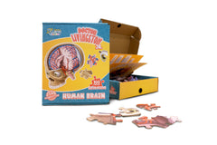 box of human brain puzzle by Genius Games