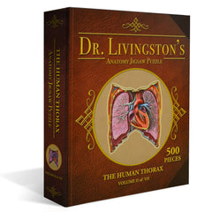 Human Thorax Anatomy Jigsaw Puzzle | Dr Livingston's Unique Shaped Science Puzzles, Accurate Medical Illustrations of the Body, Organs, Lungs and Heart