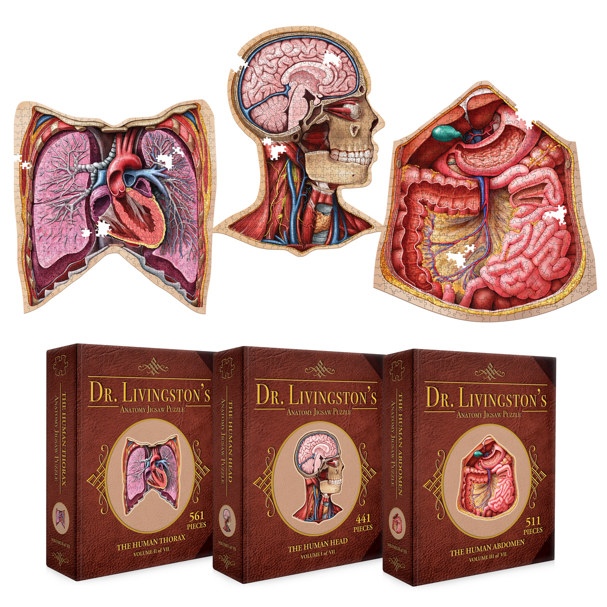 3D_Box_-_Human_Puzzle_Bundle_3 3D_Box_-_Human_Puzzle_Bundle_3