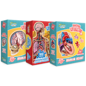 Bundle - Kid's Anatomy Puzzles - Brain, Heart, and Full-Body Floor Puzzles | Great Science Gift Ideas for Kids