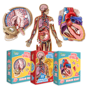 Bundle - Kid's Anatomy Puzzles - Brain, Heart, and Full-Body Floor Puzzles | Great Science Gift Ideas for Kids