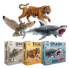 Tiger, Shark and Owl Animal Anatomy Floor Puzzle Bundle | 100-Piece Double Sided Jigsaw Puzzle | Large-Sized, Scientifically Accurate Illustration - Fun and Educational Toy for Kids and Toddlers