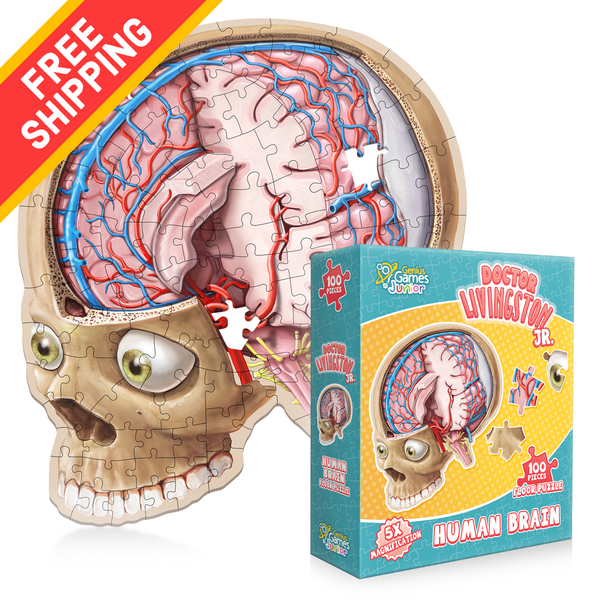 Brain_Kids_Free_Shipping_grand