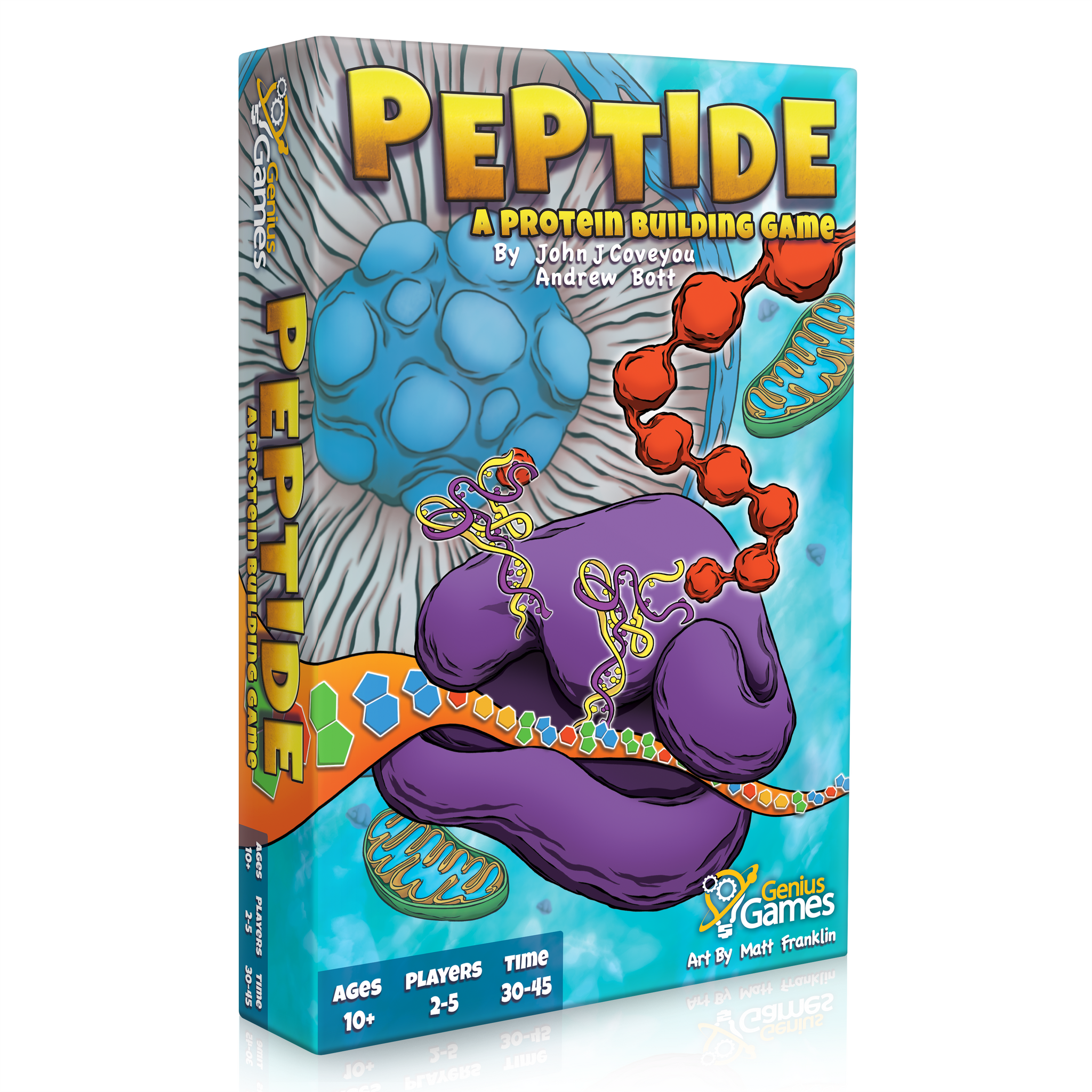 Peptide: A Protein Building Game
