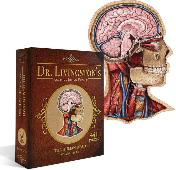 Human Head Anatomy Jigsaw Puzzle | Unique Shaped Science Floor