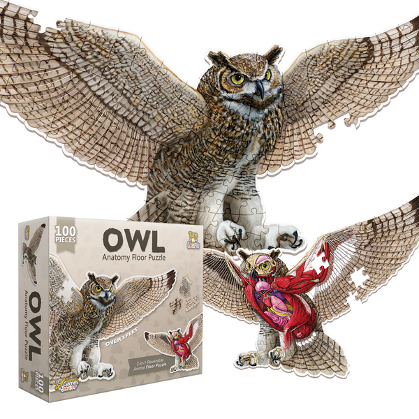 Owl Animal Anatomy Floor Puzzle | 100-Piece Double Sided Jigsaw Puzzle | Large-Sized, Over 3 Feet Scientifically Accurate Illustration - Fun and Educational Toy for Kids, Toddlers and Families