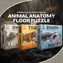 Tiger, Shark and Owl Animal Anatomy Floor Puzzle Bundle | 100-Piece Double Sided Jigsaw Puzzle | Large-Sized, Scientifically Accurate Illustration - Fun and Educational Toy for Kids and Toddlers