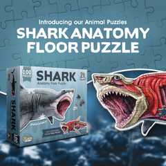 Shark Animal Anatomy Floor Puzzle | 100-Piece Double Sided Jigsaw Puzzle | Large-Sized, Over 3 FT - Scientifically Accurate Illustration - Fun and Educational Toy for Kids, Toddlers and Families