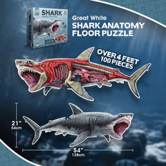 Shark Animal Anatomy Floor Puzzle | 100-Piece Double Sided Jigsaw Puzzle | Large-Sized, Over 3 FT - Scientifically Accurate Illustration - Fun and Educational Toy for Kids, Toddlers and Families