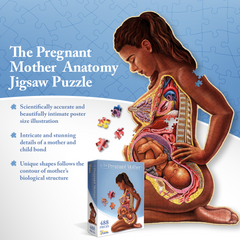 Pregnant Mother Anatomy Jigsaw Puzzle | 488-Piece Science Accurate Adult Puzzle | Educational and Entertaining 3ft x 2ft Poster Size Puzzle | Ideal Gift for Mothers, Educators & Medical Professionals