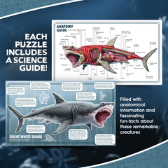Shark Animal Anatomy Floor Puzzle | 100-Piece Double Sided Jigsaw Puzzle | Large-Sized, Over 3 FT - Scientifically Accurate Illustration - Fun and Educational Toy for Kids, Toddlers and Families