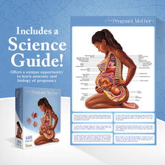 Pregnant Mother Anatomy Jigsaw Puzzle | 488-Piece Science Accurate Adult Puzzle | Educational and Entertaining 3ft x 2ft Poster Size Puzzle | Ideal Gift for Mothers, Educators & Medical Professionals
