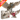 Free Shipping! Owl Jigsaw Puzzle - 4FT Double Sided Floor Puzzle