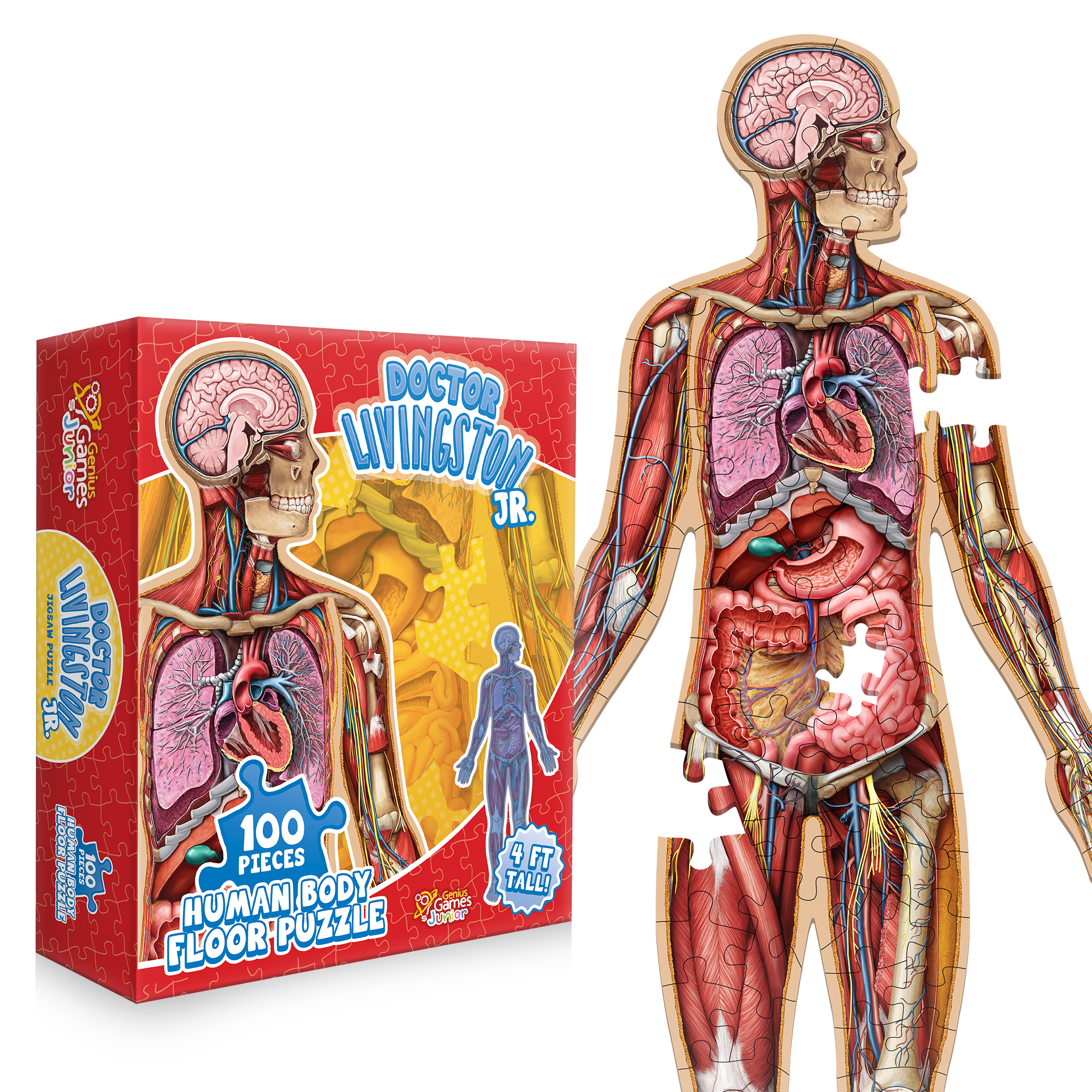 Moving Body Math Game Kid's 100 Piece Human Body Floor Puzzle: Dr Livingston's Jr. - A Medic ...