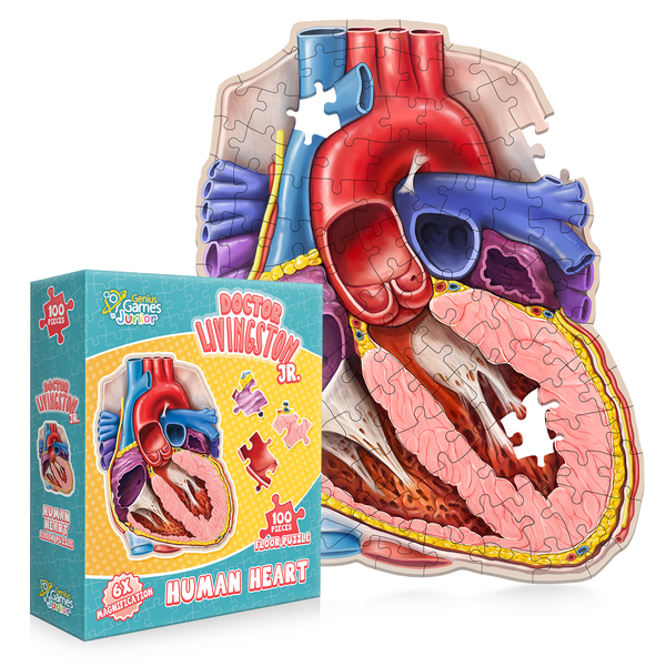 Human Heart Floor Kids Puzzle - Dr. Livingston's Unique Shaped 100 Piece Science Puzzles for Kids