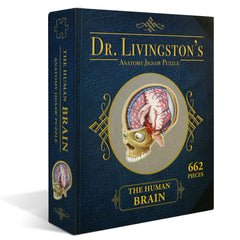 Human Brain Anatomy Jigsaw Puzzle | Dr. Livingston's Unique Shaped Science Puzzles