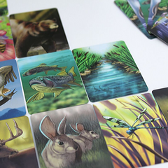 Ecosystem | A Family Card Game about Animals, their Habitats, Ecology and Biodiversity