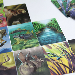 Ecosystem | A Family Card Game about Animals, their Habitats, and Biodiversity