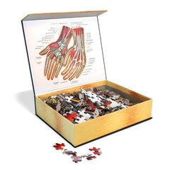 Human Hands Anatomy Jigsaw Puzzle | Dr. Livingston's Unique Shaped Science Puzzles