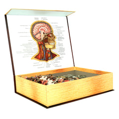 the box of Dr. Livingston's Human head jigsaw puzzle by Genius Games