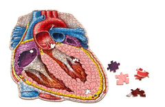Human Anatomy Organ Puzzle Bundle | Unique Shaped Science Puzzles